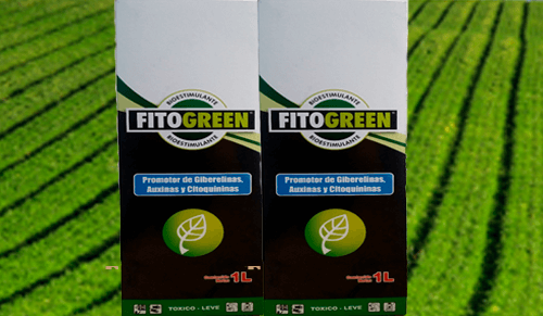 fitogreen